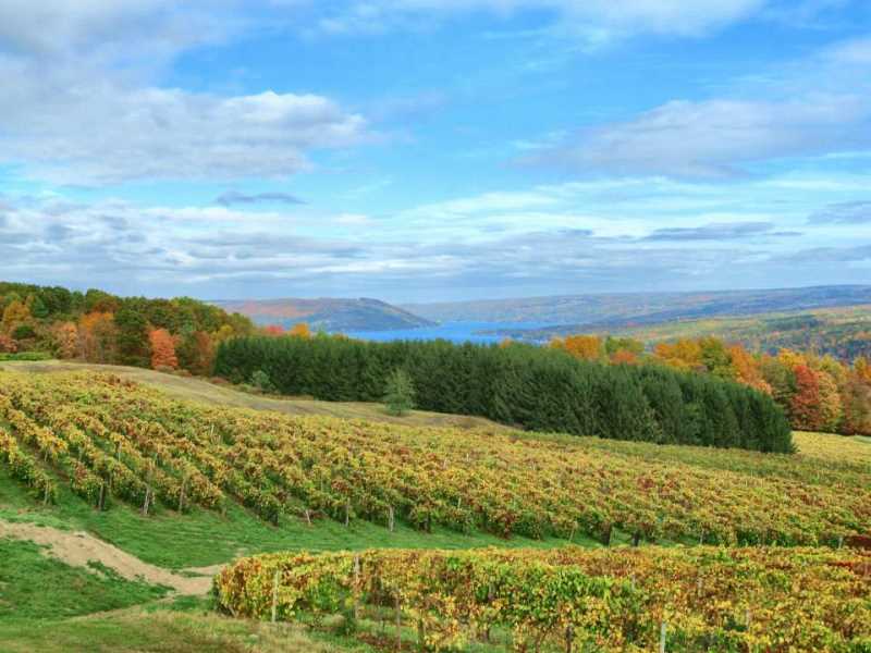 Town of Urbana Welcome to Urbana NY